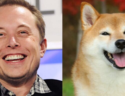 Elon Musk and Dogecoin: How the Billionaire Became the &#039, Dogefather&#039,