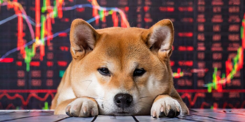 Dogecoin Gives Up All of Its 2025 Increases as Bitcoin, Solana Stay Falling