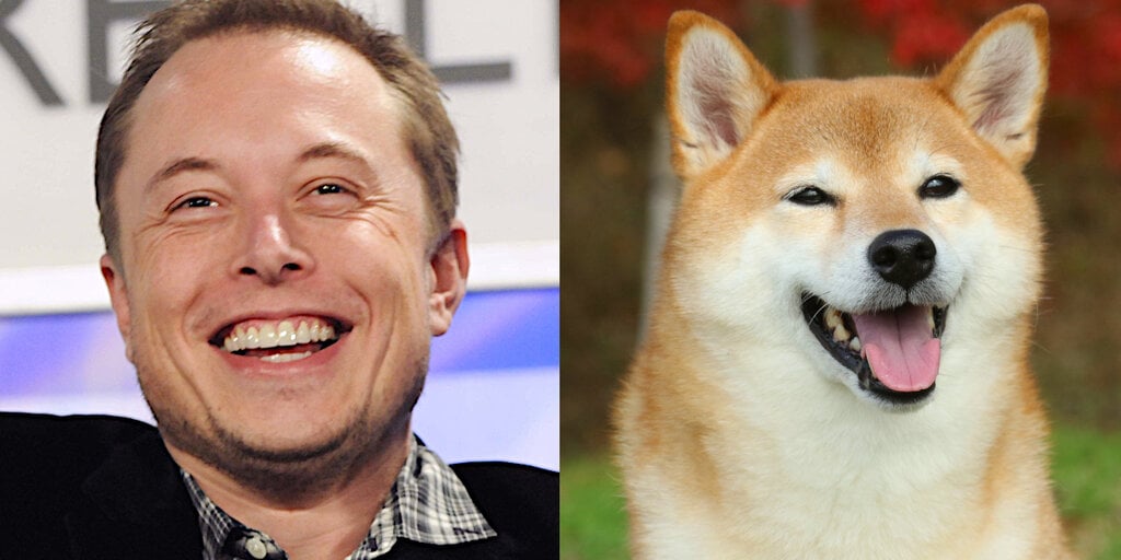 Elon Musk and Dogecoin: How the Billionaire Became the &#039, Dogefather&#039,